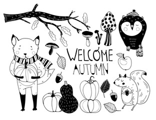 Welcome autumn. Cute forest animals. Graphic vector set. All elements are isolated