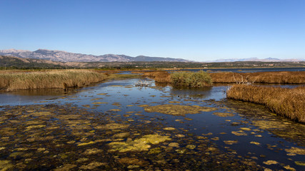 Montenegro - A view at a portion of the Nature Park Solana Ulcinj (Ulcinj Saltern)