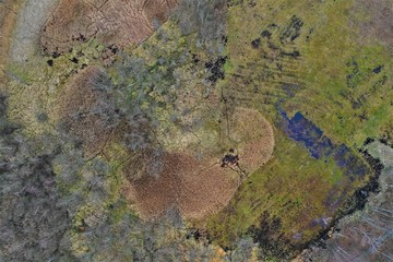 Soos - Nationales Naturreservat