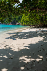 Footprints in the sand on a beautiful, deserted tropical beach