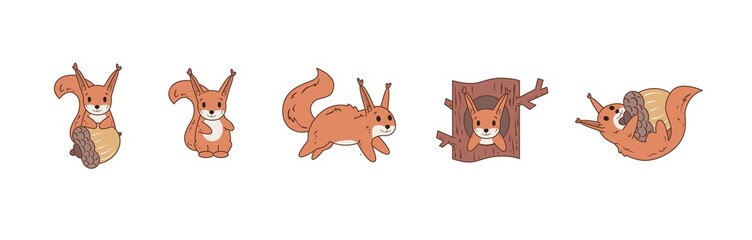 Colourful comic squirrel playing with nut and jumping around. Set of icons. Flat vector illustration. Isolated on white background.