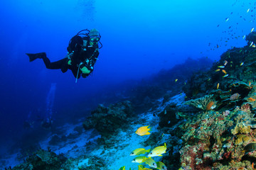 Female SCUBA diver swimming on a tropical coral reef