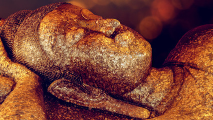 Reclining Buddha statue background