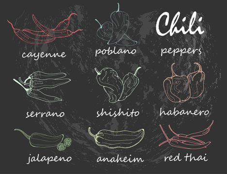 Hand drawn chili peppers. Graphic vector set. Chalkboard style. Colored chalk. All elements are isolated