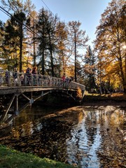 bridge over the river