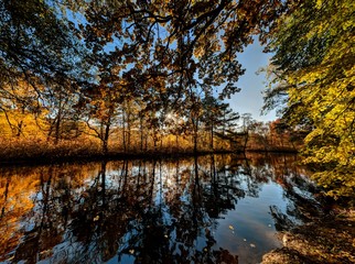 autumn landscape with lake and trees