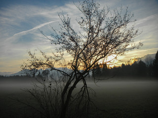 B&auml;ume im Sp&auml;therbst