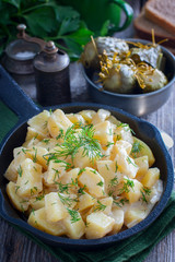fresh potatoes cooked in sour cream, selective focus