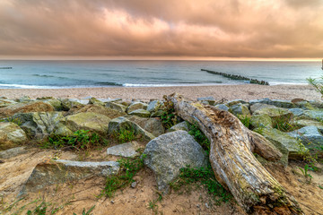 Fototapeta na wymiar landscape by the sea, wood, stones, sand, waves