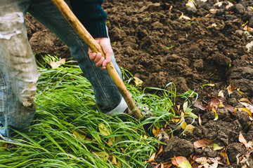 Man digging the garden. Spud the soil. Man digs a hole to plant a tree. Man loosens dirt in the...