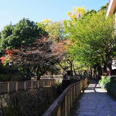 音無親水公園の風景