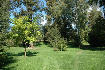 A side of a town park