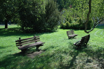 Old park benches