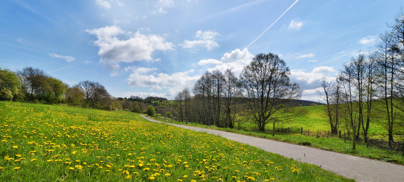 Banner mit Landschaft in der Eifel im Fr&uuml;hling