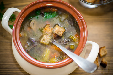 homemade vegetable soup with wild mushrooms and peppers in a plate