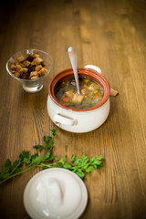 homemade vegetable soup with wild mushrooms and peppers in a plate