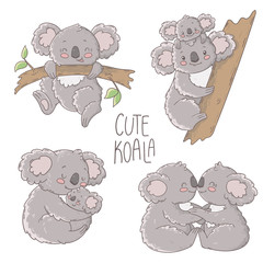 Cute koala illustration, vector set.