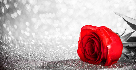Red rose on glitters