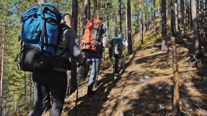 Family travels. People environment by mountains, rivers, streams. Parents and kids walk using trekking poles. Man and woman have professional hiking backpacks, flasks, mugs and other equipment. Dad - Powered by Adobe