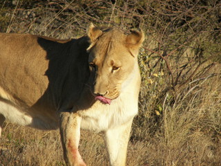 Afrika Reisen