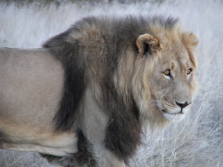 Afrika Reisen