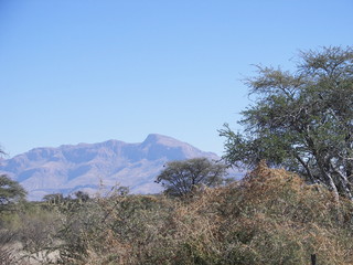 Fototapeta premium Afrika