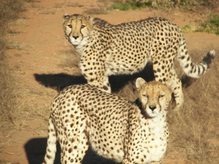 Reisen Afrika 