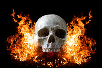 Head skull in flame on dark black background.