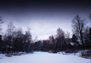 Horizon of winter park landscape background