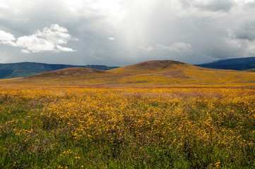 Fototapeta premium Mountains in Tanzania in the Ngorogoro Valley
