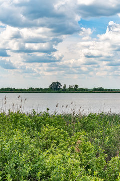 Typical landscape at swamp area of Imperial Pond (Carska bara), large natural habitat for birds and other animals from Serbia