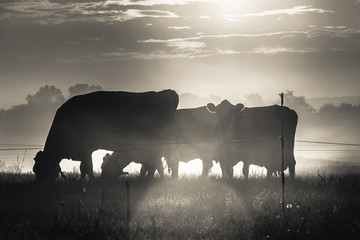 Lancaster County Sunrise