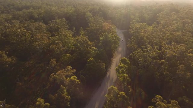 Wide angle drone shot of forest on suset