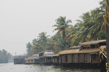Back water - Kerala 4