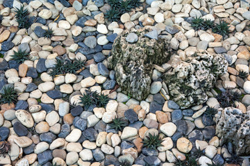 Stone background in the garden.
