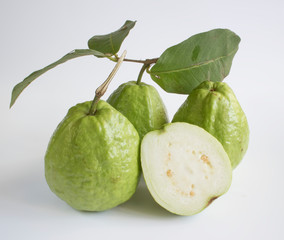 Gwava in white background