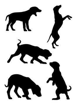 Dalmatian dog pet animal silhouette 02. Good use for symbol, logo, web icon, mascot, sign, or any design you want.