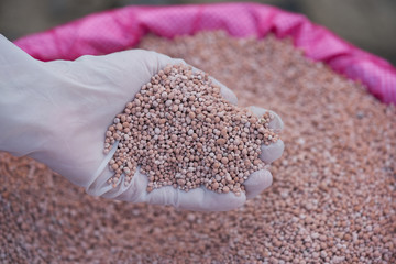 fertilizer in farmer hand. NPK fertilizers are three-component fertilizers providing nitrogen, phosphorus, and potassium