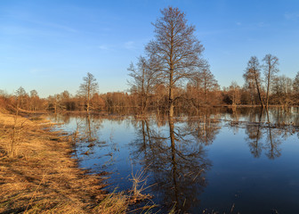The river overflowed and flooded trees in March.