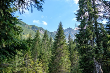 Distant mountain cores in slovakia Tatra mountain trails