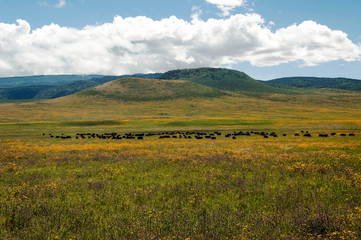 Mountains in Tanzania in the Ngorogoro Valley