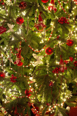 Fototapeta na wymiar Christmas tree full frame
