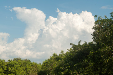 Obraz premium céu