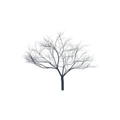 Fototapeta premium Tree silhouette on white background. Bare tree. Vector illustration.