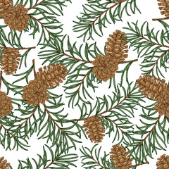 Seamless pattern with hand drawn pine cones and branches. Vector illustration engraved. Design for Christmas greeting cards and packaging.