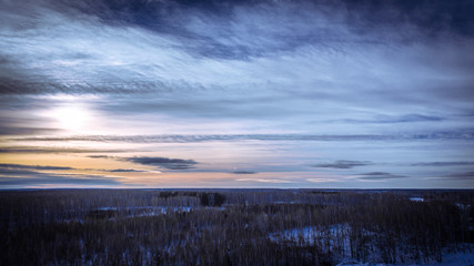 Winter sunset in the forest