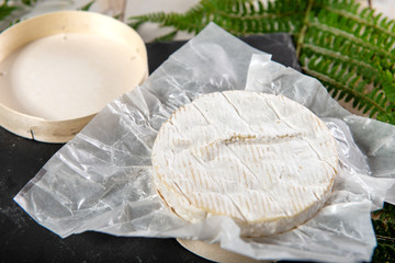 Camembert cheese traditional Normandy French, dairy product