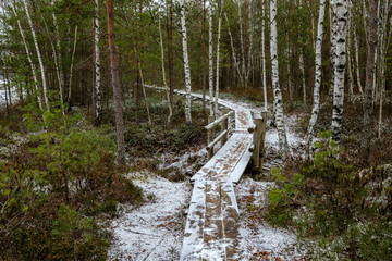 wooden plank footpath boardwalk in swamp area for recreation tourists