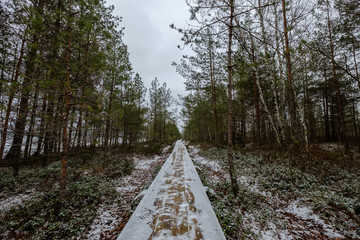 wooden plank footpath boardwalk in swamp area for recreation tourists