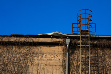 Bilder und Videos suchen: feuerleiter